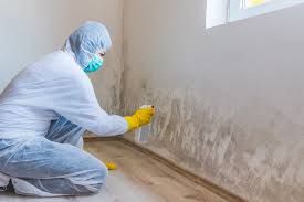 Asbestos and Lead Testing During Mold Inspection in Rockford, MN